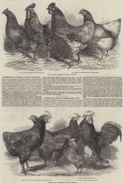Udstilling af fjerkræ i Great Yarmouth af Harrison William Weir